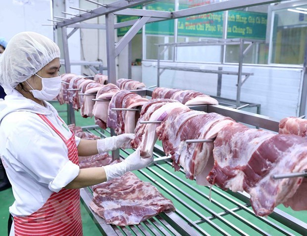 Кабмин ищет способы стабилизировать цены на свинину hinh anh 1