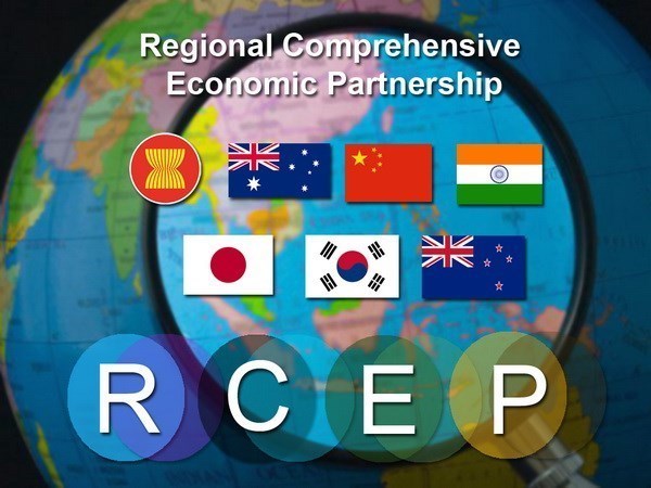 RCEP будет подписан в этом году hinh anh 1