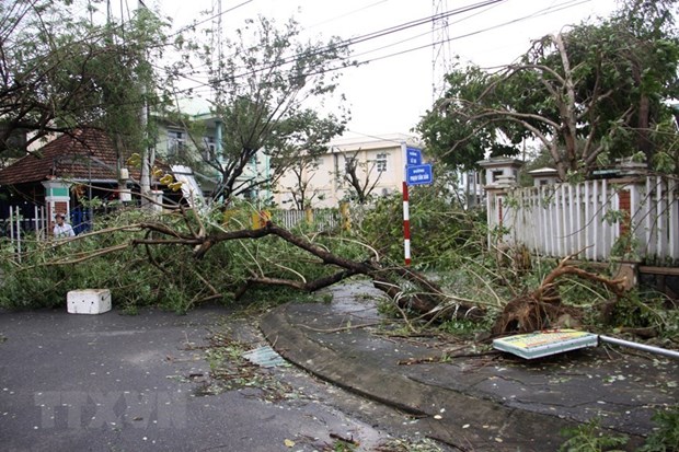 Ураган “Молаве” разрушает центральные провинции hinh anh 3