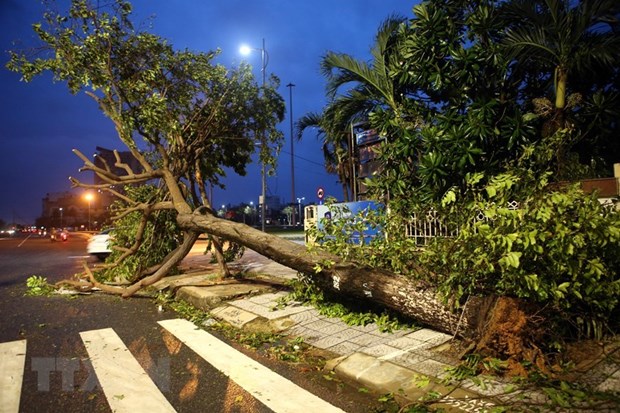 Ураган “Молаве” разрушает центральные провинции hinh anh 5