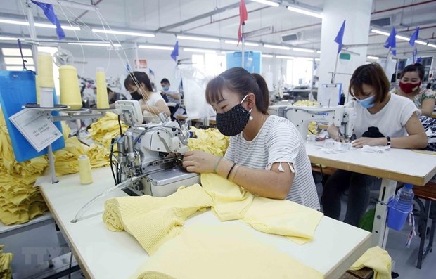 Предприятия, возглавляемые женщинами, вносят большои вклад в восстановление экономики hinh anh 1