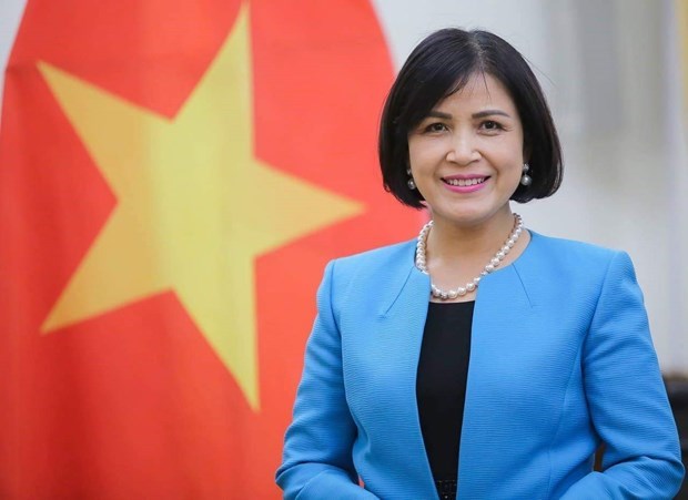 Вьетнам председательствует на заседании комитета АСЕАН в Женеве hinh anh 1