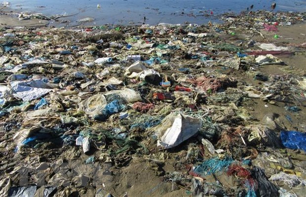 Минимизировать морские пластиковые отходы: ради чистого моря во Вьетнаме hinh anh 1