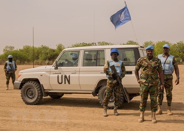 СБ ООН принял документы по Южному Судану, Центральноафриканскои Республике, Сомали и Ливии hinh anh 1