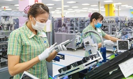 Вьетнам получает выгоду от EVFTA и CPTPP hinh anh 1