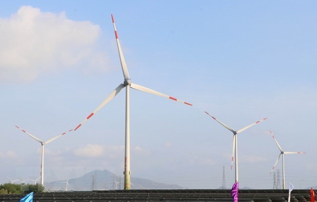 Зарегистрировано более 100 ветряных электростанции для подачи электроэнергии в национальную сеть hinh anh 1