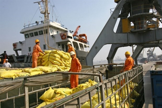 МТ поручил облегчить работу морских портов в условиях пандемии hinh anh 1