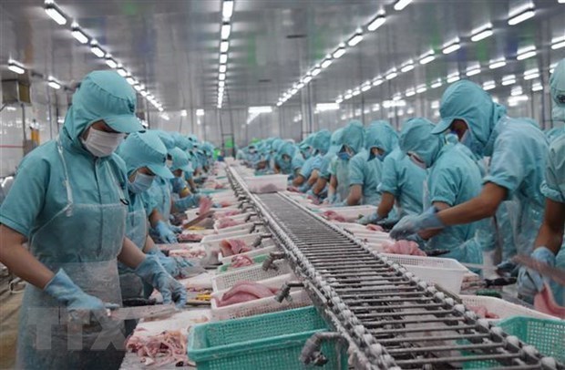 Экспорт рыбнои продукции может принести 9 млрд. долл. США в 2021 году hinh anh 1