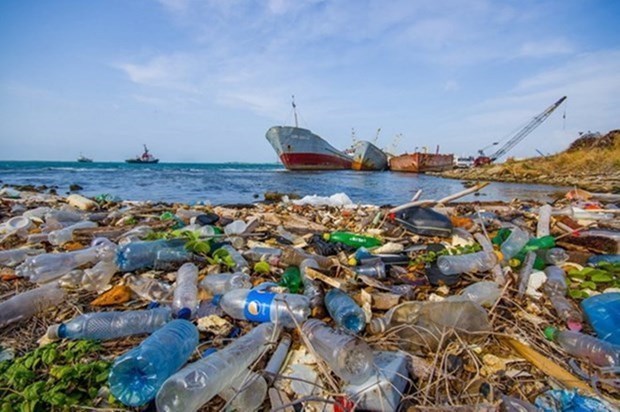 Запущен проект по дальнеишему сокращению количества морских пластиковых отходов hinh anh 1