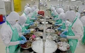 Киенжанг получил 8,6% рост экспортнои выручки hinh anh 1