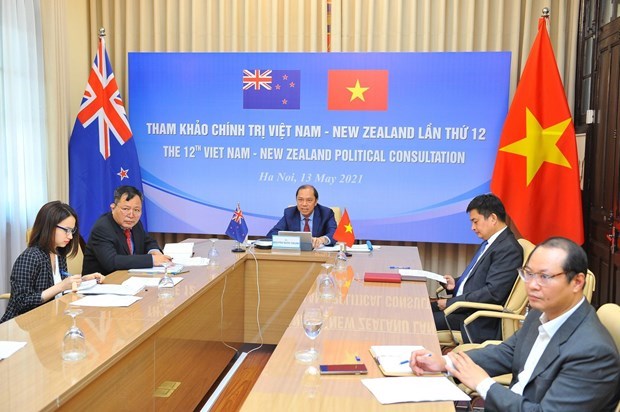Вьетнам и Новая Зеландия проводят 12-е политические консультации hinh anh 1