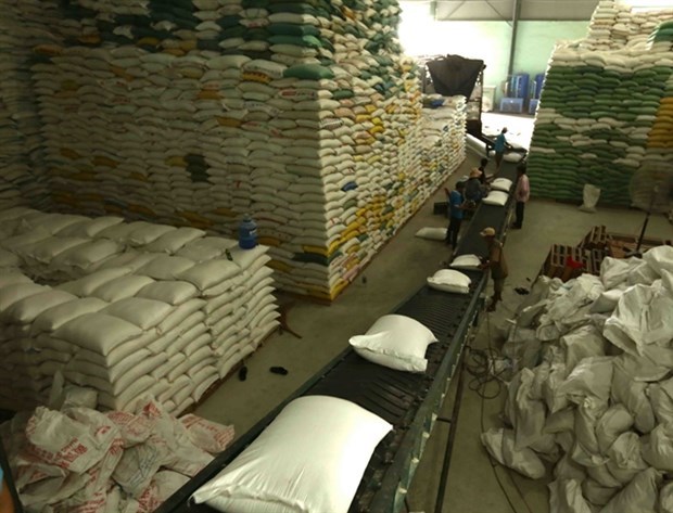 Возможности Вьетнама для поддержания стабильного экспорта риса на Филиппины hinh anh 1