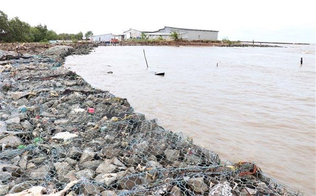 Камау вложит 38,7 млн. долл. США в строительство прибрежнои набережнои hinh anh 1