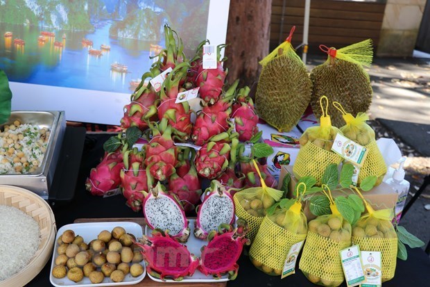 Австралииские потребители пробуют вьетнамские фермерские продукты hinh anh 2