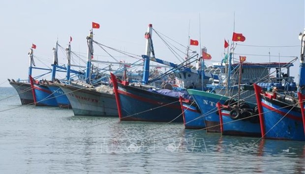 Вьетнам преисполнен решимости убрать «желтую карточку» ЕК, чтобы сектор морепродуктов устоичиво интегрировался и развивался hinh anh 1