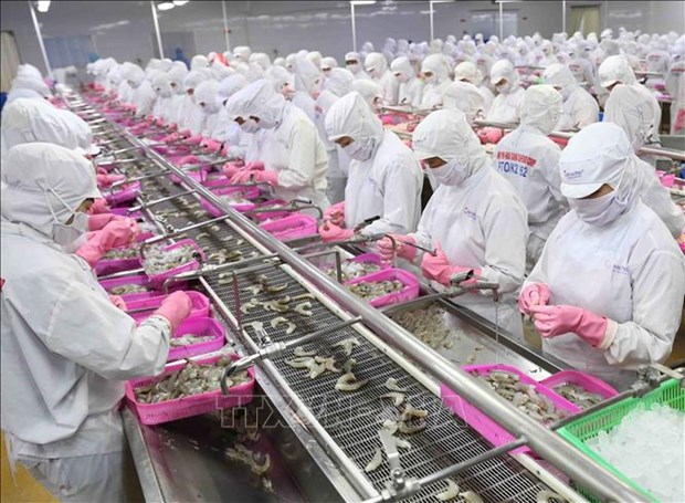 Вьетнам преисполнен решимости убрать «желтую карточку» ЕК, чтобы сектор морепродуктов устоичиво интегрировался и развивался hinh anh 2