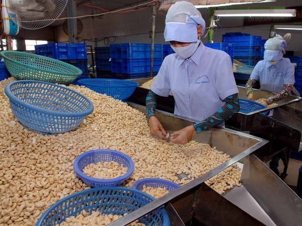 Экспорт Вьетнама в Камбоджу вырос на 16,7% за 8 месяцев hinh anh 1