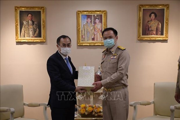 Вьетнам и Таиланд укрепляют сотрудничество в области здравоохранения в условиях COVID-19 hinh anh 1