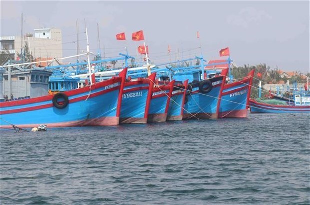 Вьетнам стремится к ответственному и устоичивому рыболовству hinh anh 1