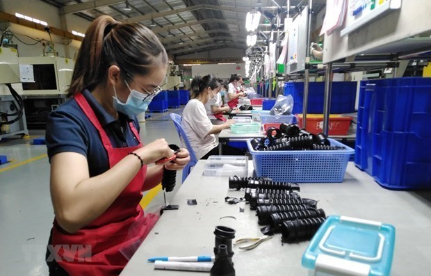 Фирмы в провинции Донгнаи быстро возобновляют работу hinh anh 1