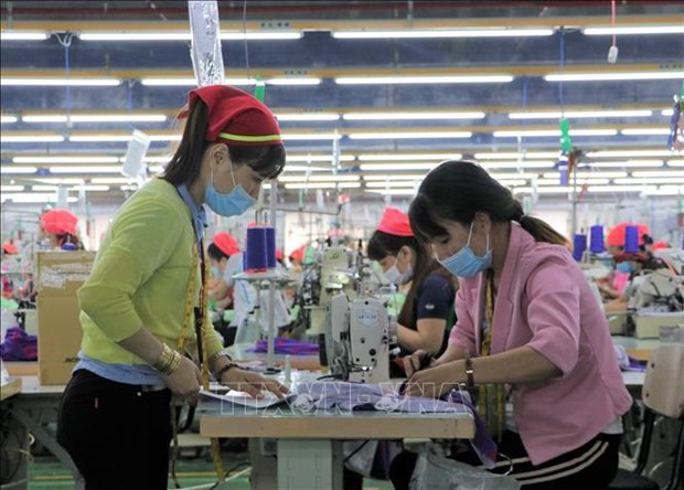 Донгнаи: 97% фирм возобновили свою деятельность hinh anh 1