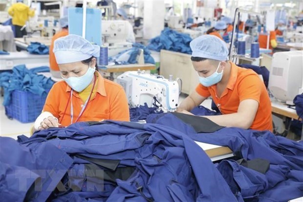 Эксперты верят в восстановление экономики Вьетнама hinh anh 1