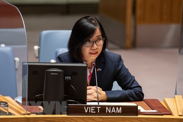 Вьетнам призывает к устранению барьеров и дискриминации вдов hinh anh 1