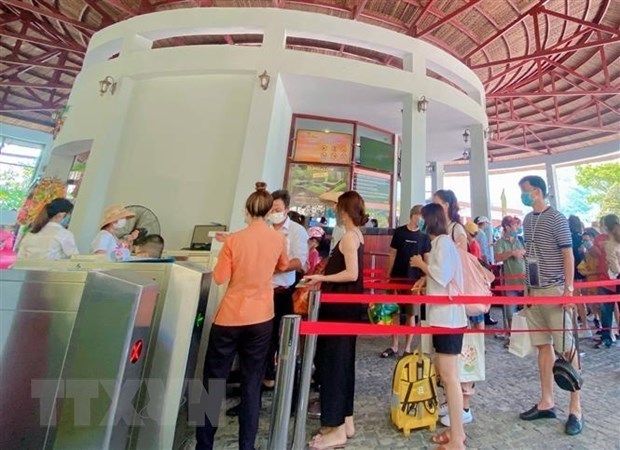 Операторы туристических услуг Дананга соответствуют требованиям для приема иностранных гостеи hinh anh 2