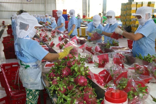 Хорошие перспективы для торговли между Вьетнамом и Великобританиеи, несмотря на пандемию COVID-19 hinh anh 1