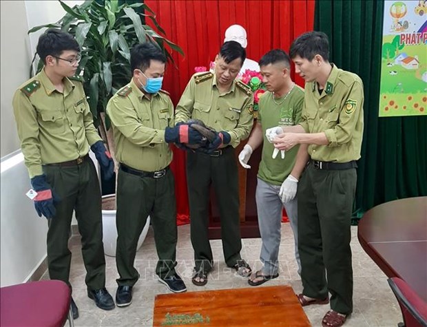 Национальныи парк Кук Фыонг принял двух животных, занесенных в Красную книгу Вьетнама hinh anh 1