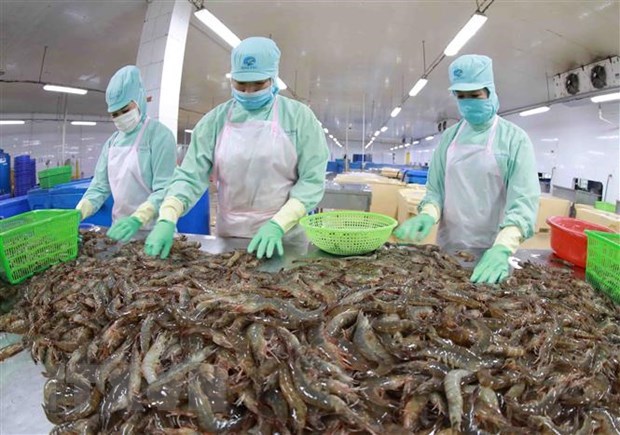 VASEP выпустит карту вьетнамских предприятии по производству морепродуктов hinh anh 1