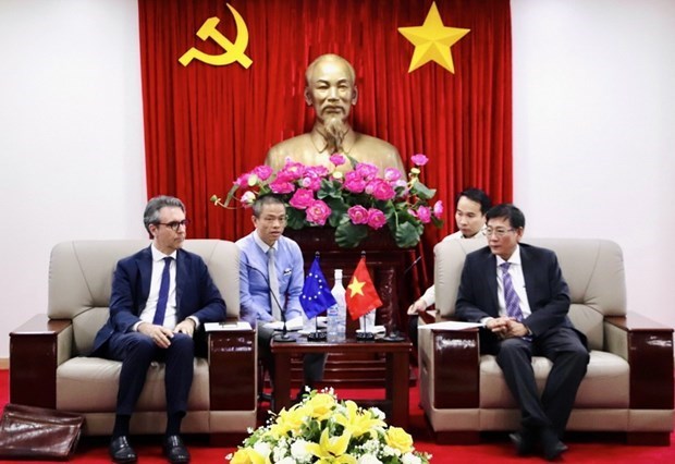 Представительство ЕС во Вьетнаме изучает инвестиционные возможности в Биньзыонге hinh anh 1