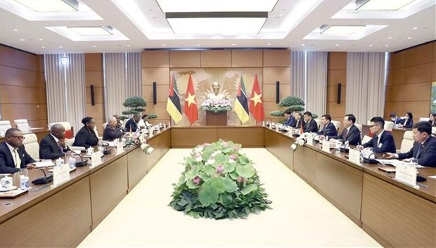 Председатель НС Выонг Динь Хюэ провел переговоры с председателем парламента Мозамбика hinh anh 1
