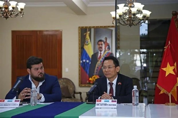 Вьетнам продвигает сотрудничество с регионами Венесуэлы hinh anh 1