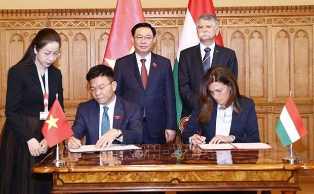 Подписание программы сотрудничества между министерствами юстиции Вьетнама и Венгрии на период 2022-2023 гг. hinh anh 1