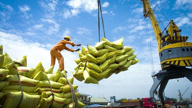 Спрос на импорт необходимо пересмотреть, чтобы увеличить экспорт риса на рынок АСЕАН hinh anh 1