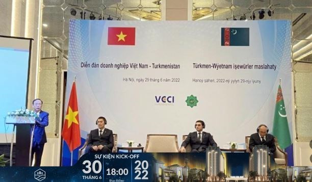Вьетнамские и туркменские фирмы укрепляют деловое сотрудничество hinh anh 1
