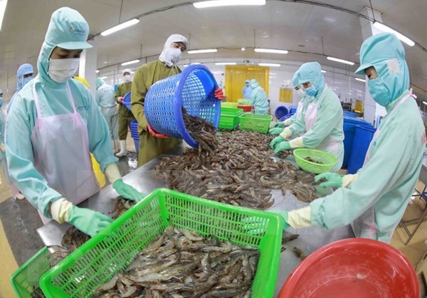 Экспорт рыбнои продукции вырос на 40% в первом полугодии hinh anh 1