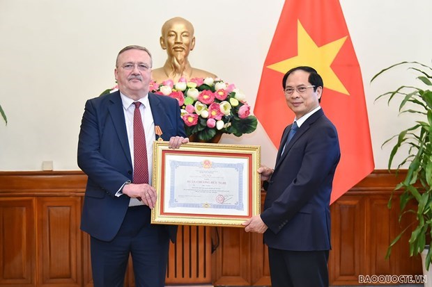 Посол Венгрии во Вьетнаме награжден орденом Дружбы hinh anh 1