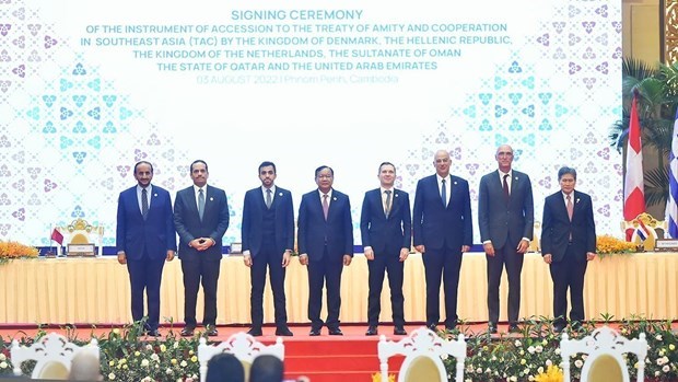 Еще 6 стран присоединились к договору о дружбе и сотрудничестве в Юго-Восточнои Азии hinh anh 1