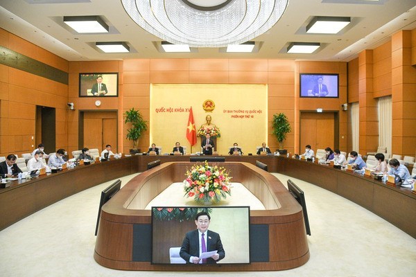 Главы МОБ и Министерства культуры ответят на депутатские запросы на 14-м заседании ПК НС Вьетнама hinh anh 1