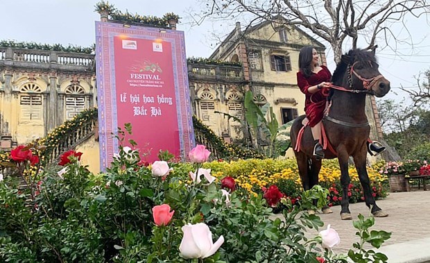 Лаокаи: Открытие фестиваля «Любовь и розы-2022» в Бакха hinh anh 1