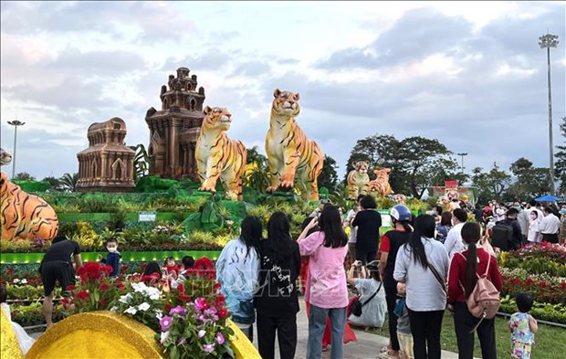 В провинции Биньдинь содеиствуют развитию летнего туризма 2022 года hinh anh 1