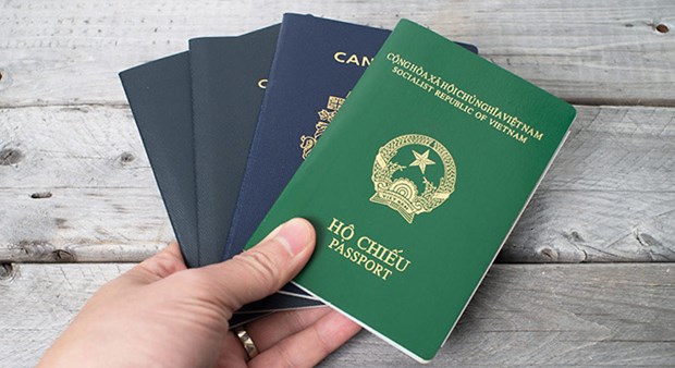 Департамент иммиграции запустил пилотную модель по выдаче паспортов через электронныи портал hinh anh 1