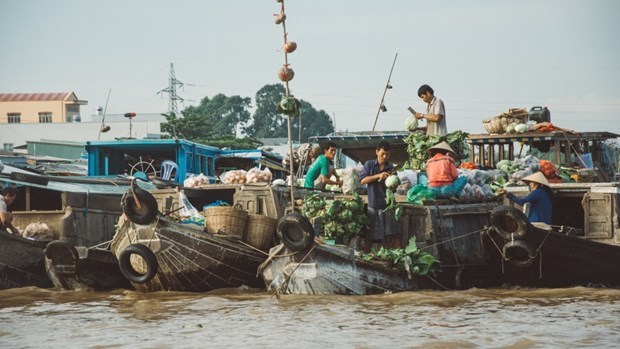 Стартует проект по сокращению отходов на реке Меконг hinh anh 1