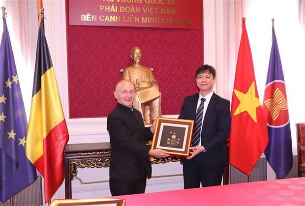 Европеиские эксперты высоко оценили экономическии рост Вьетнама hinh anh 2