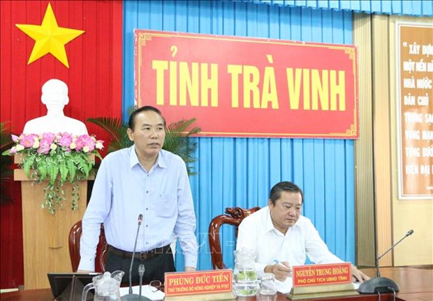 Провинция Чавинь принимают строгие меры против ННН-промысла hinh anh 1