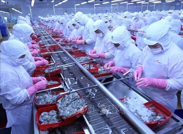 Экспорт рыбнои продукции Вьетнама в Россию резко вырос hinh anh 1