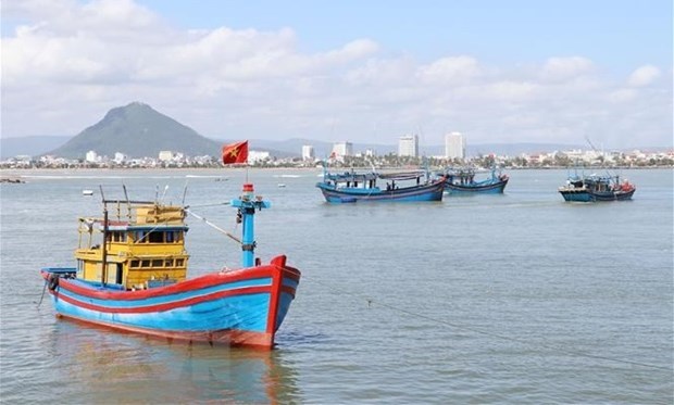 Усилия по снятию «желтои карточки» ННН: работа по предотвращению проникновения рыболовных судов в иностранные морские раионы hinh anh 1