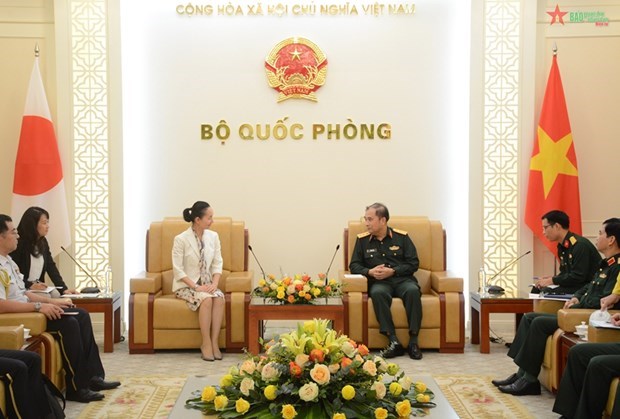 Вьетнам и Япония расширяют миротворческое сотрудничество ООН hinh anh 1